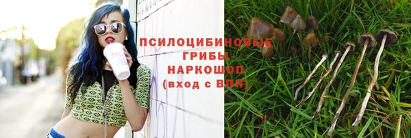 jwh Алзамай